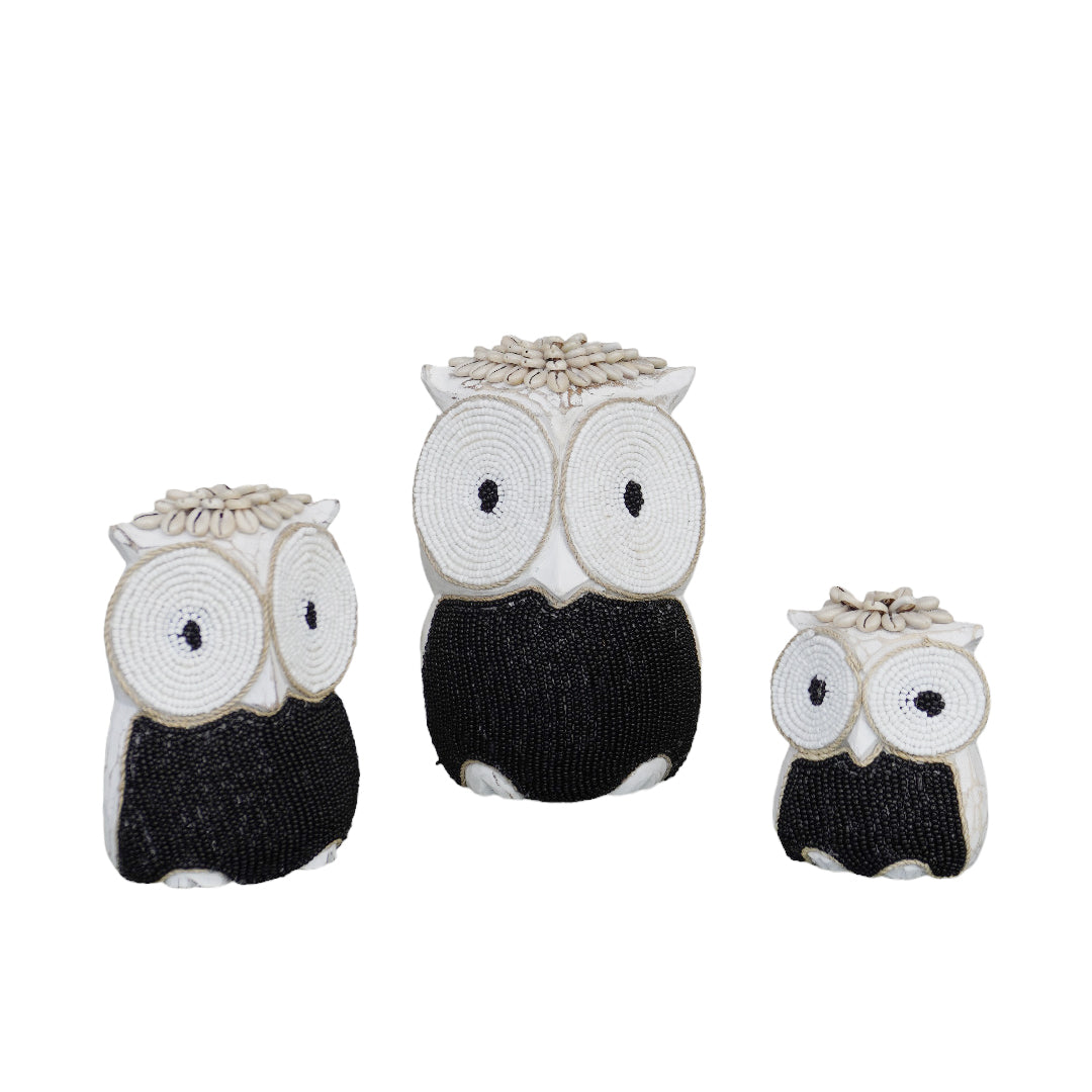 SET OF OWL BL