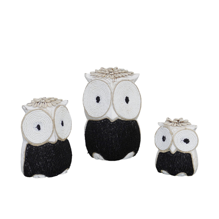 SET OF OWL BL
