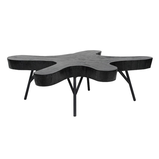 KOTAO BL COFFEE TABLE 107
