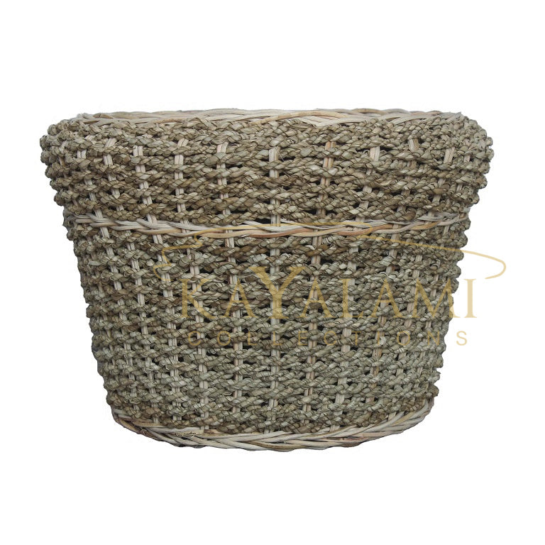 NOMINA PLANTER M