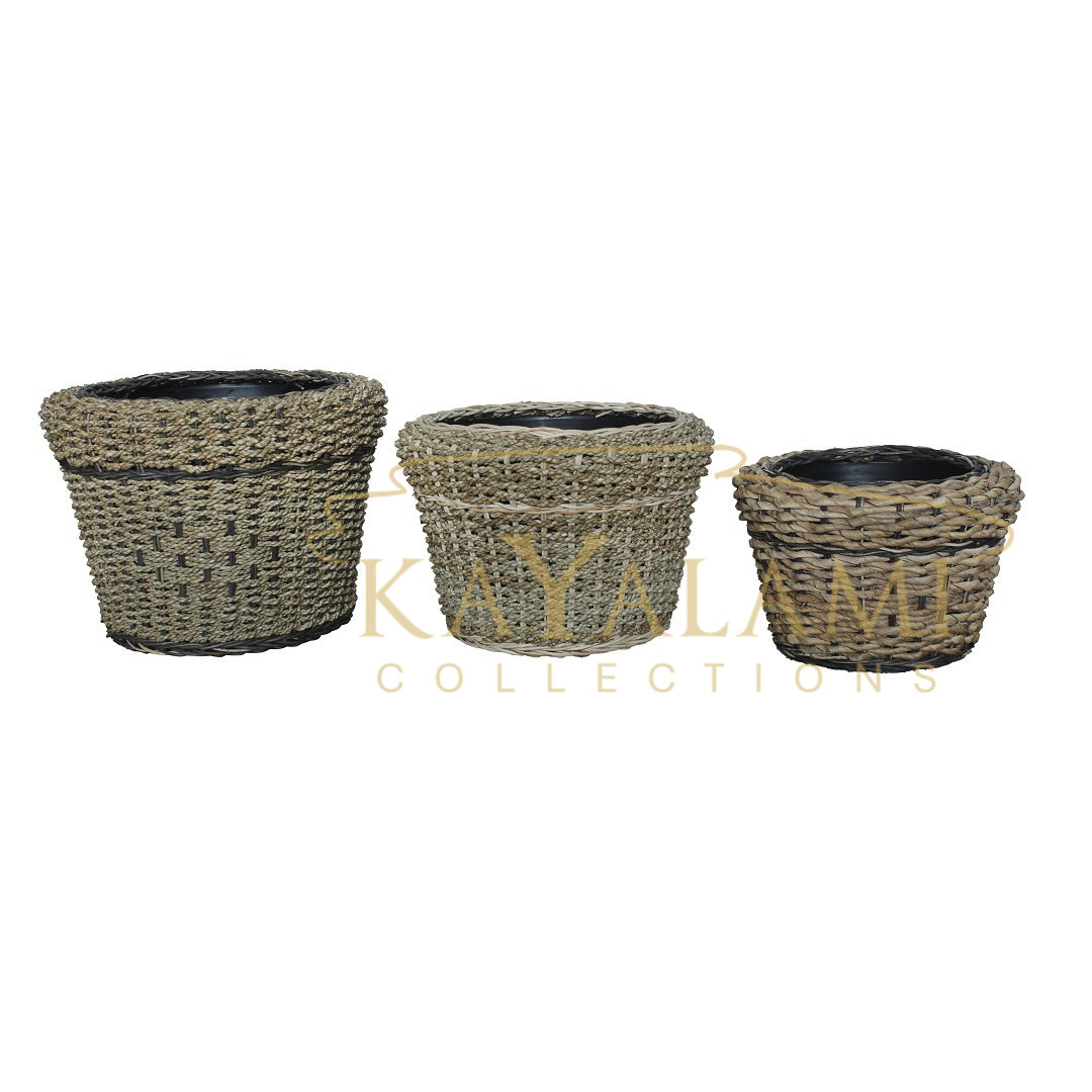 NOMINA PLANTER L