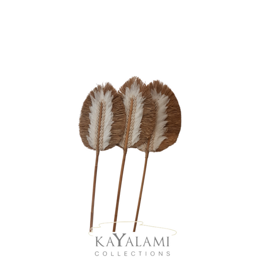 SHELL FEATHER DECO