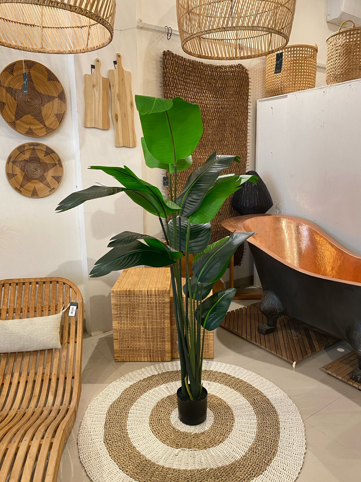 TRAVELLERS PALM